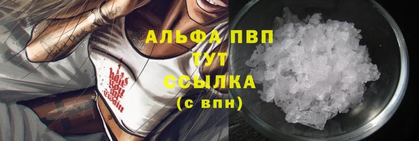 молекула духа Вяземский