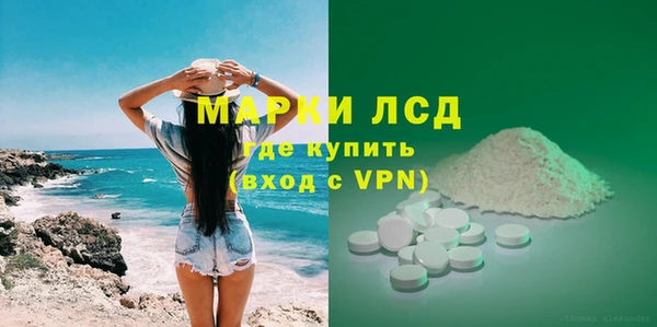 молекула духа Вяземский