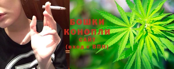 молекула духа Верхний Тагил