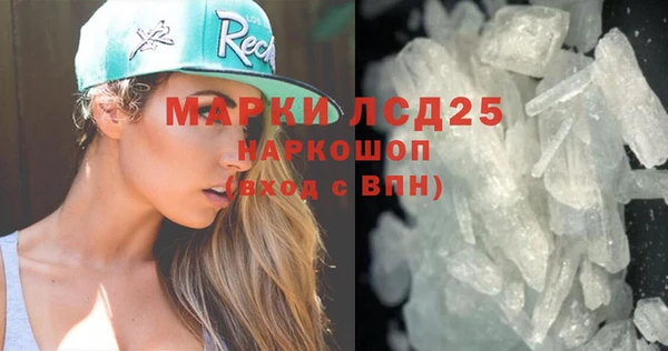 прущие грибы Горнозаводск
