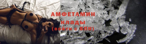 молекула духа Вяземский