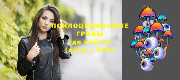 молекула духа Вяземский