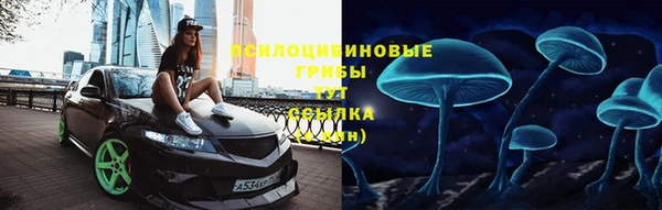 хмурый Горно-Алтайск