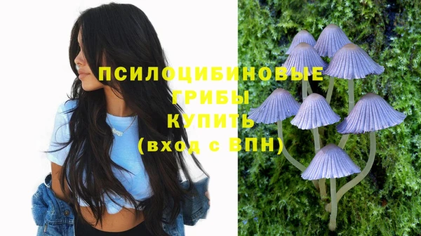 молекула духа Вяземский