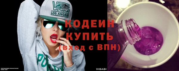 СК Вязьма
