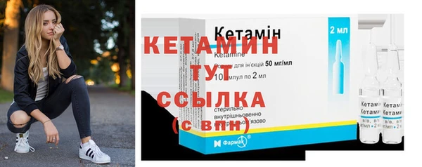 молекула духа Вяземский