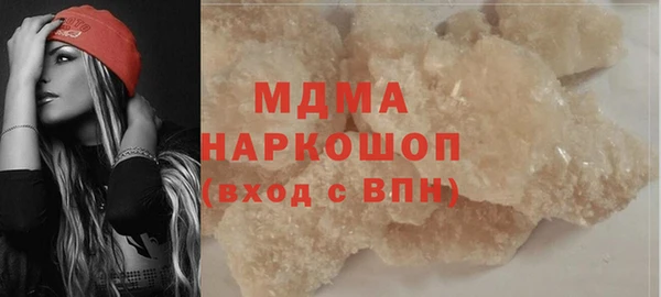 молекула духа Вяземский