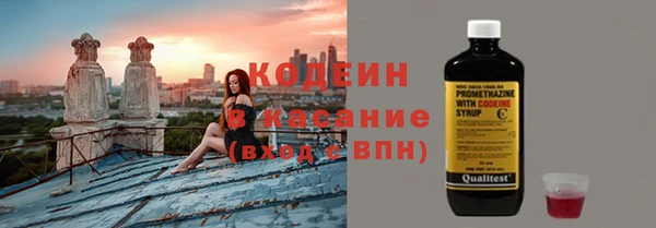 молекула духа Вяземский