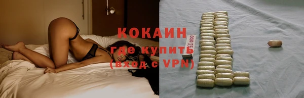 СК Вязьма