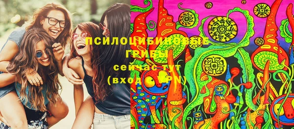 молекула духа Вяземский