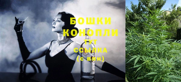 СК Вязьма