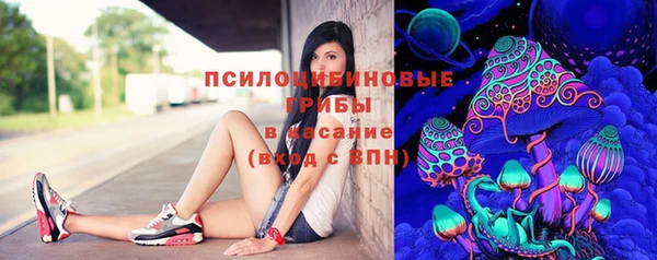 хмурый Горно-Алтайск