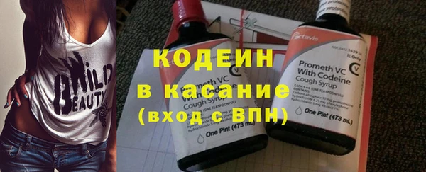 прущие грибы Горнозаводск