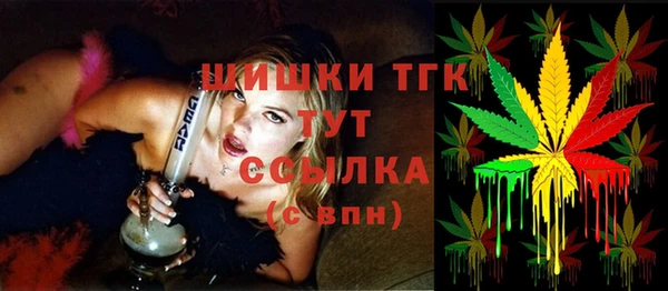 прущие грибы Горнозаводск
