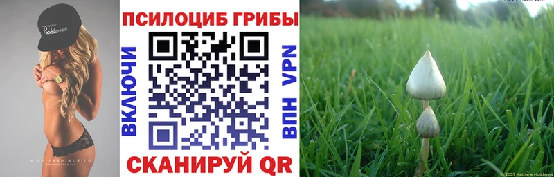 Купить где  Далматово  Псилоцибиновые грибы мухоморы 